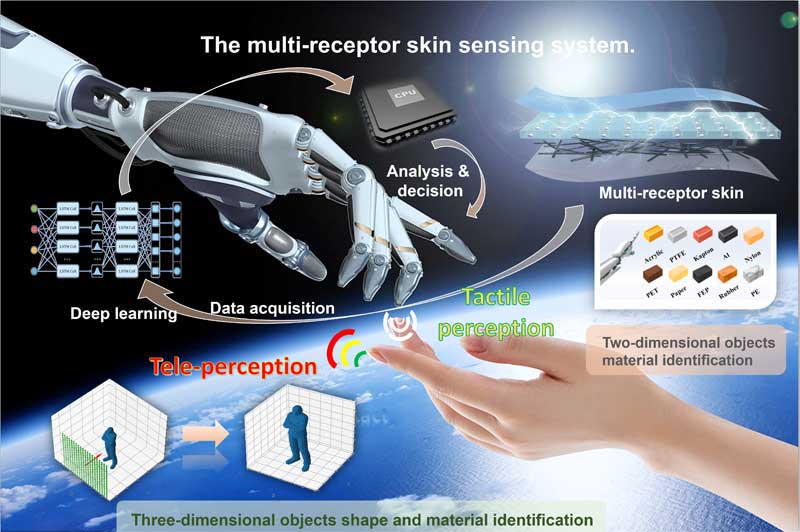 Multi-receptor skin with highly sensitive tele-perception somatosensory