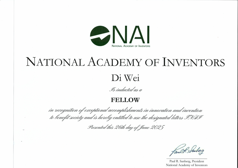 美国国家发明家科学院院士(FNAI)