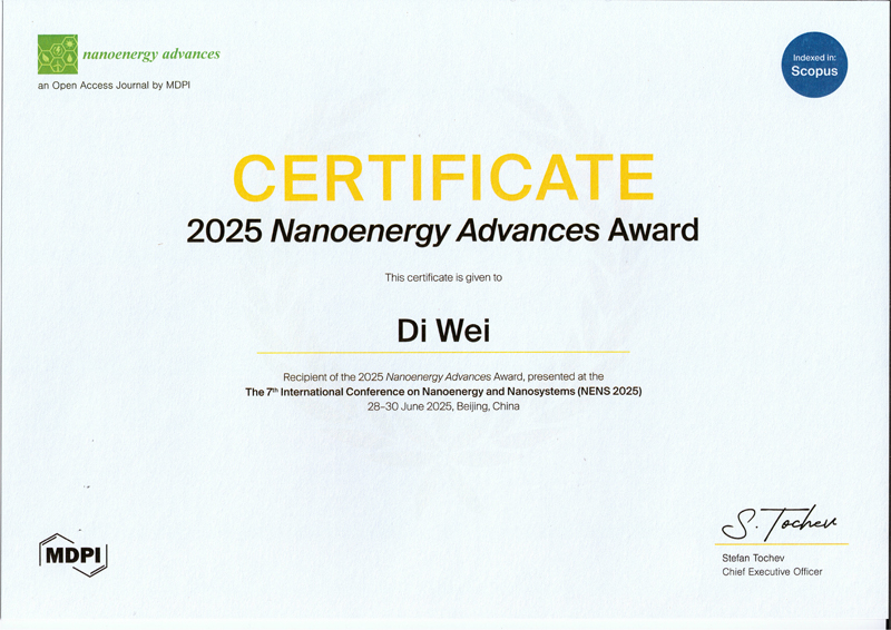 2025年先进纳米能源奖